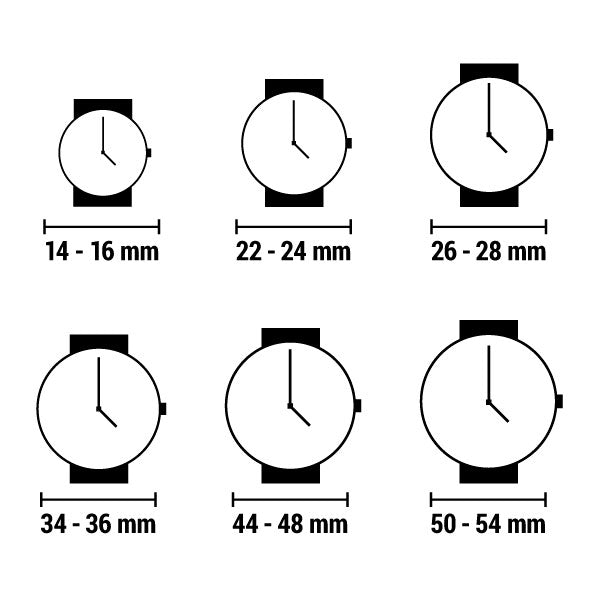 Ladies' Watch Albert M. WSOX00483.S-60 Silver