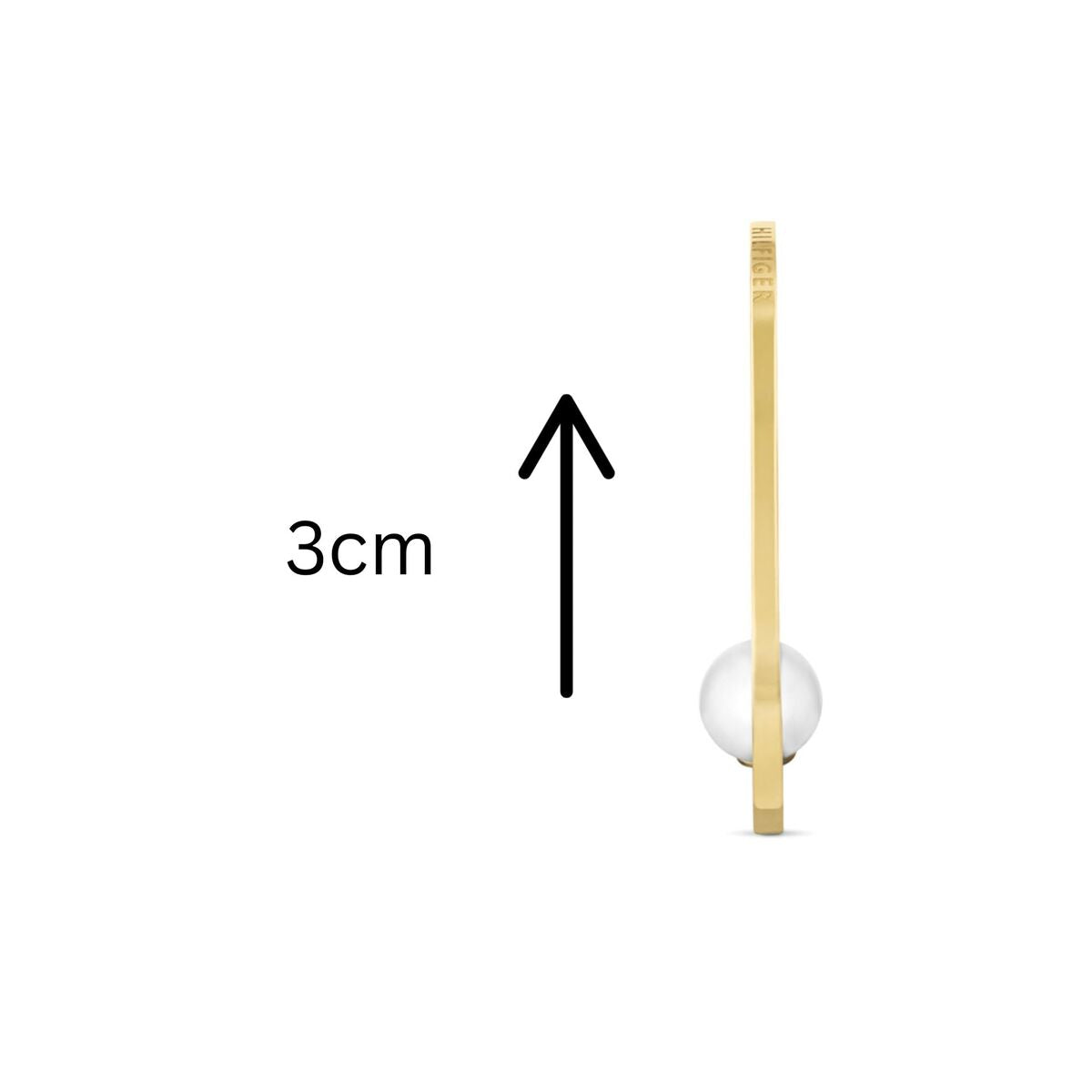 Ladies' Earrings Tommy Hilfiger 2780964 3 cm
