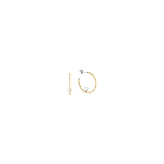 Ladies' Earrings Tommy Hilfiger 2780964 3 cm