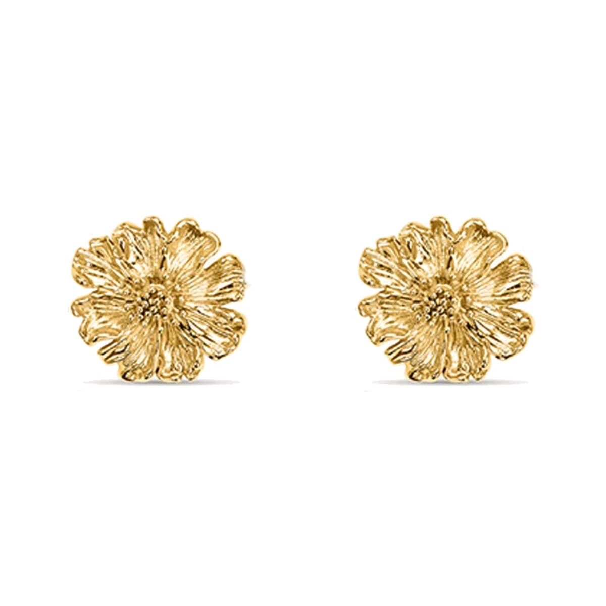 Ladies' Earrings Stroili 1697585 Golden