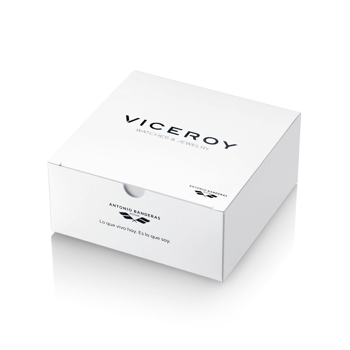 Men's Bracelet Viceroy 21001P01010