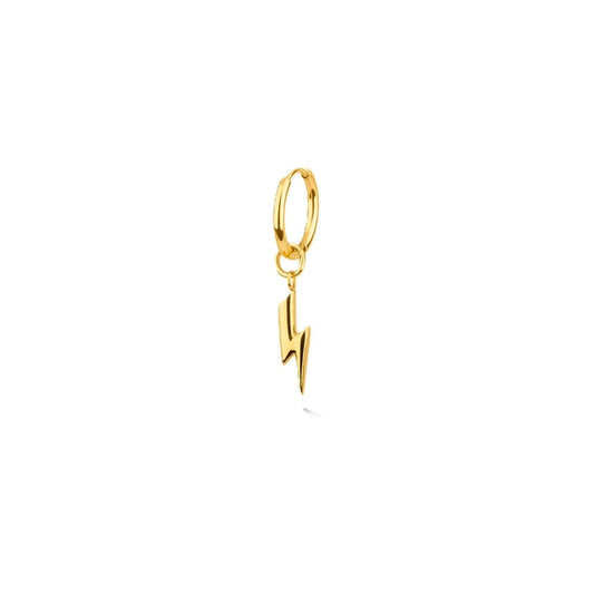 Earrings Radiant RH000164 Golden Men 1 Unit